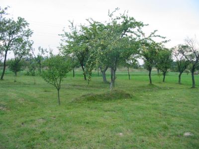 krajinotvorny_vyznam_drevin_03 krajinotvorny_vyznam_drevin_03