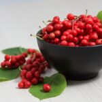 Schizandra čínska, kont.