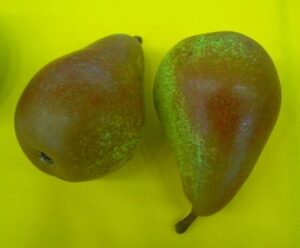 Grosdemange