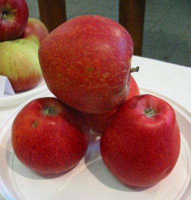 Kidd`s Orange