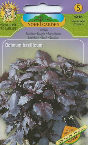 Bazalka purpurová