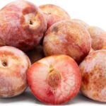 Pluot® DAPPLE DANDY - ker, kont.