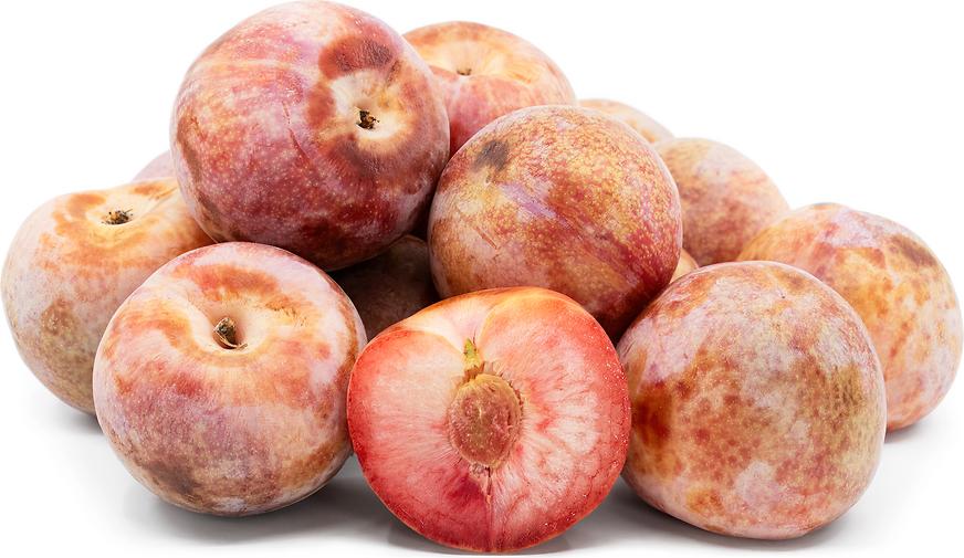 Pluot® DAPPLE DANDY - ker, kont.