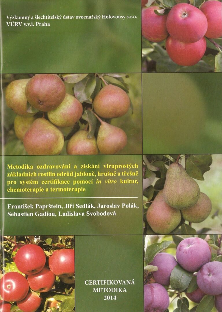 Metodika ozdravovania a získavania odvírených základných rastlín odrôd jabloní, hrušiek a čerešní pre systém certifikácie pomocou in vitro kultúr
