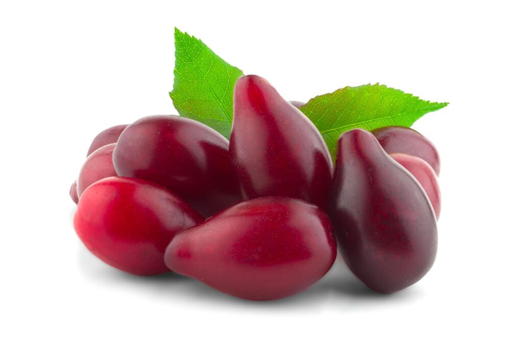 Drieň jedlý JOLICO