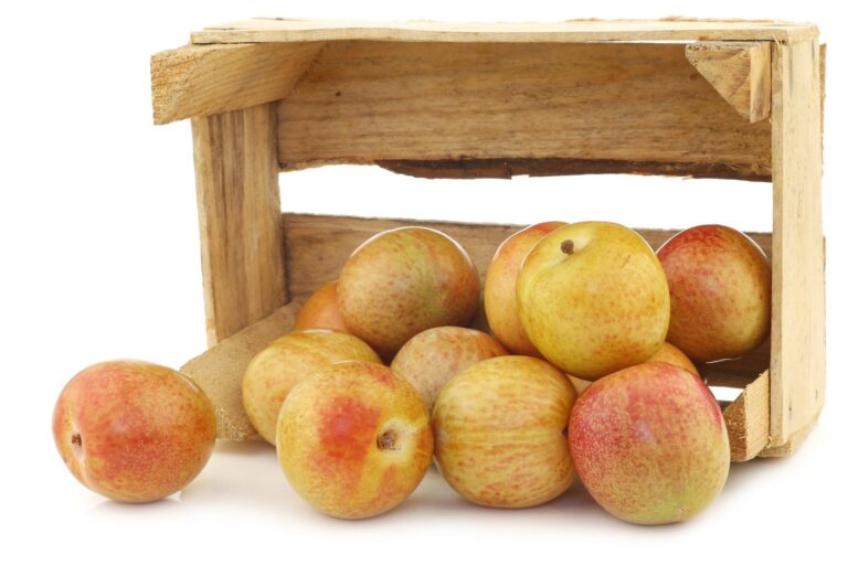 Pluot® FLAVOR QUEEN - ker, kont.