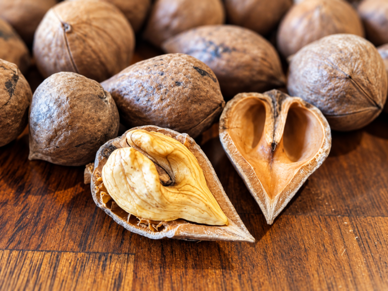 Orech HEARTNUT, kont.