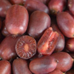 Aktinídia SCARLET SEPTEMBER KIWI®, kont.