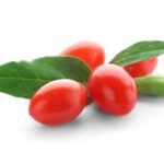 Kustovnica LITTLE GOJI, kont.
