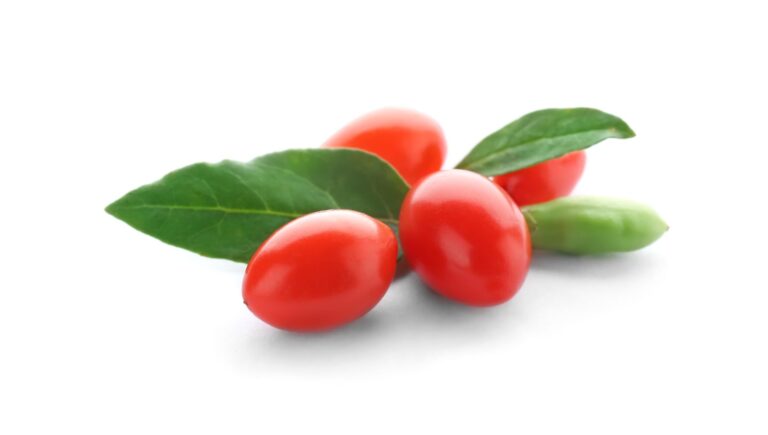 Kustovnica LITTLE GOJI, kont.