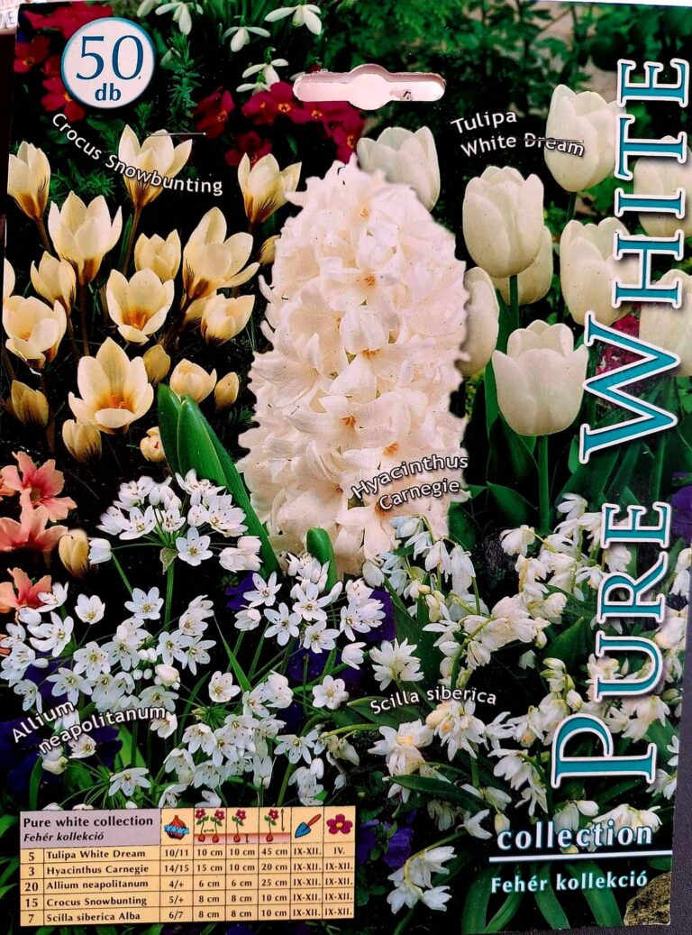 Kolekcia PURE WHITE