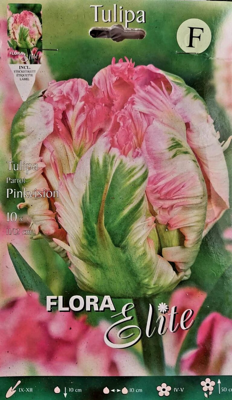 PINKVISION