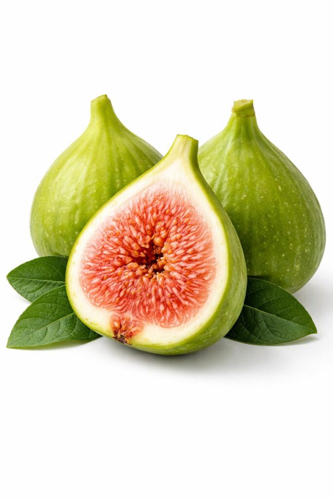 Figovník VERDINO PICCOLO, kont.
