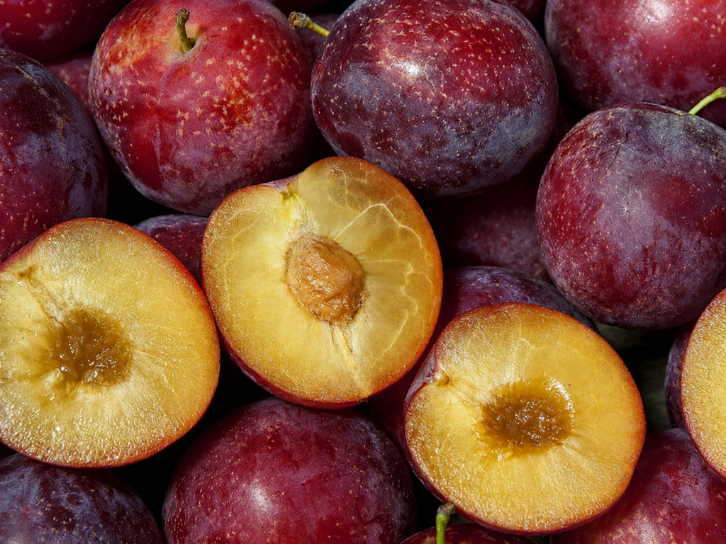 Pluot® SWEET TREAT, kont.
