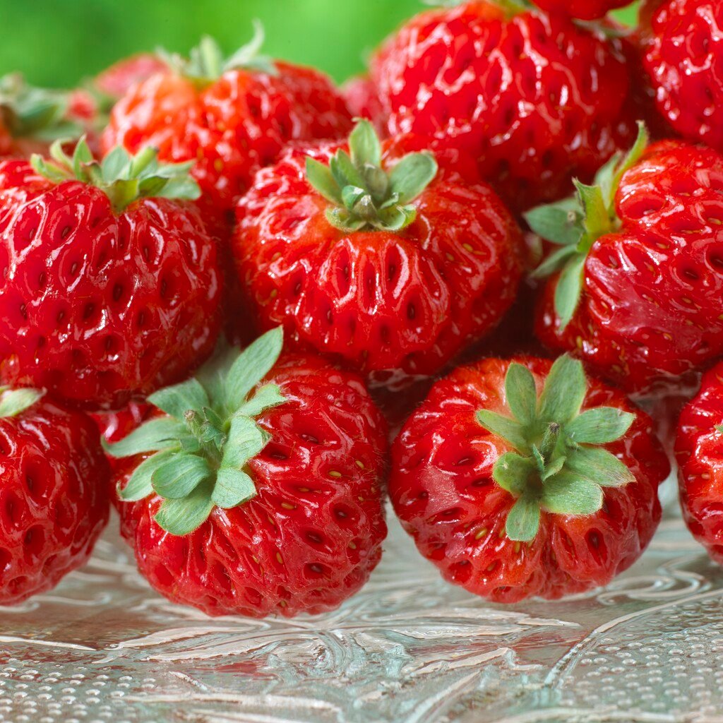 Jahoda FRAMBERRY RED DREAM, kont.