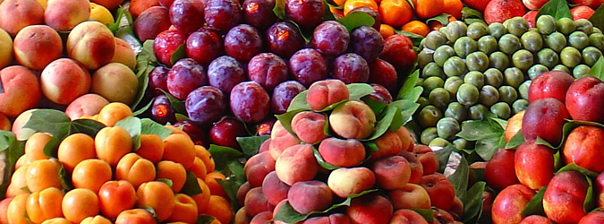Pomológia