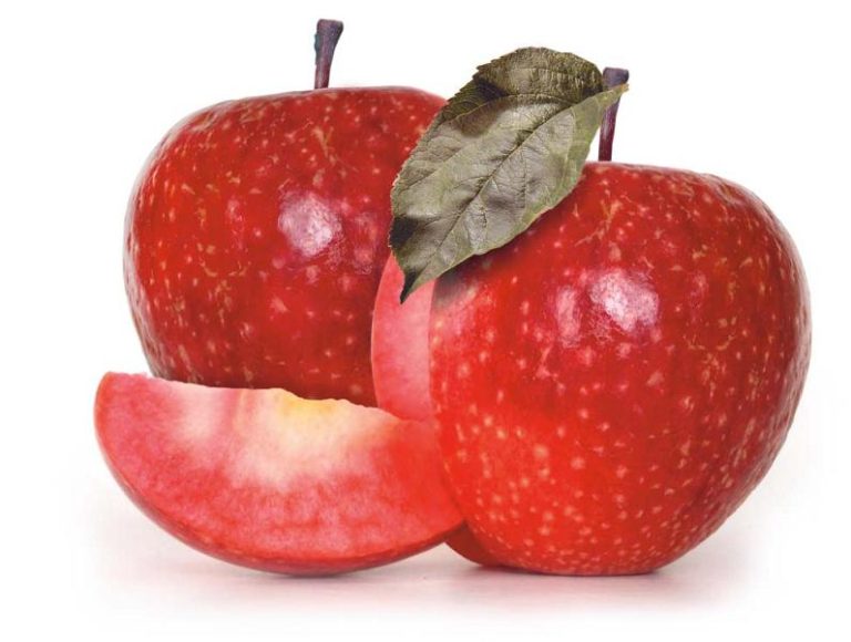 Jabloň AMATY, kont.