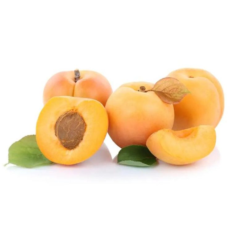 Marhuľa VITILLO, kont.