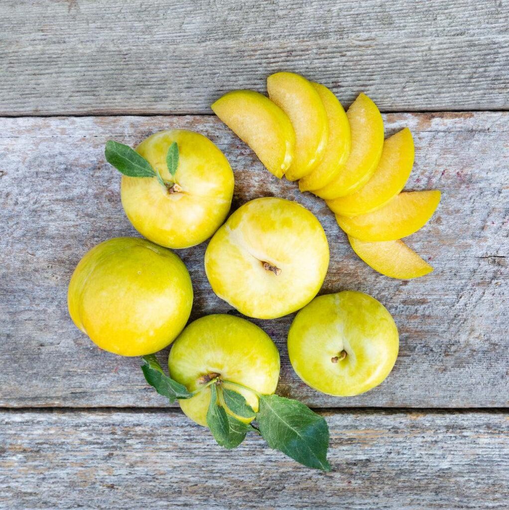 Pluot® FLAVOR QUEEN, kont.